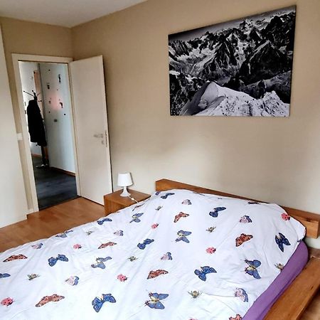 Appartement Avec Terrasse Sion Eksteriør billede